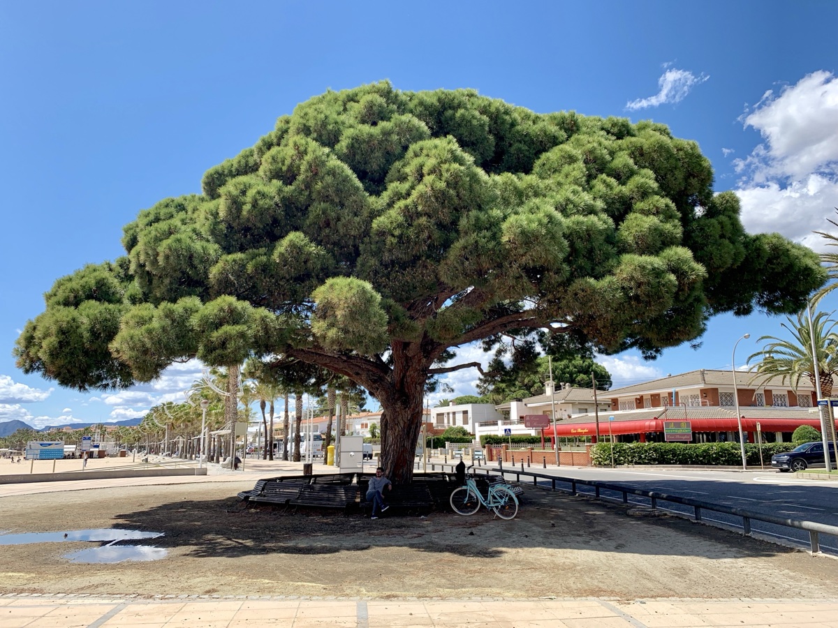 Cambrils